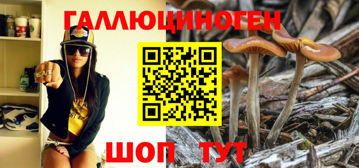 Галлюциногенные грибы Psilocybe Бирск