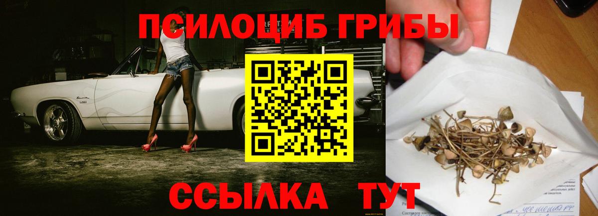 Бирск  Псилоцибиновые грибы Psilocybine cubensis  Вход с VPN 